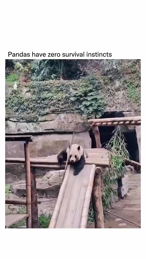 ����� - ��� ��� �������� ��������, �������������! - 2