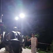 , 26 , 