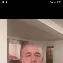 , 61, 