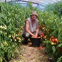 ���� ��������, ������������, 55 ��� - ��������� 20 ������� 2026