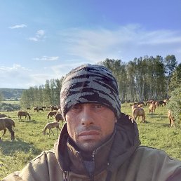  , 32, 