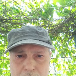 ���� ������, ����������, 62 ���� - ��������� 16 ��� 2025