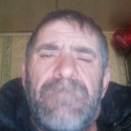 ����, ������, 59 ���