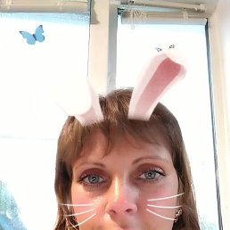 ���� ���, ���������, 41 ��� - ��������� 11 ������ 2023