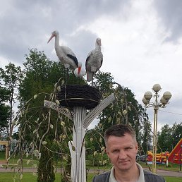 ���� ������, ������, 51 ��� - ��������� 31 ����� 2026