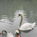  , --, 40  -  5  2025    