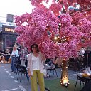 ���� �����, �����������, 60 ��� - ��������� 14 �������� 2025 � ������ ���� ����������