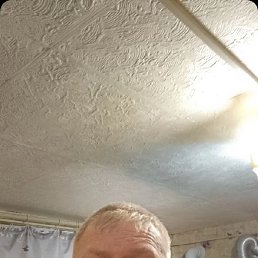 , 48 , -