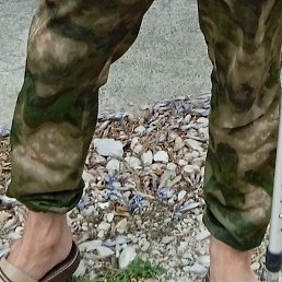 , , 44 