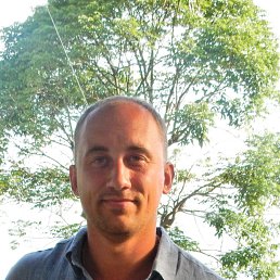 , 41, 