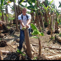 ����, ��������