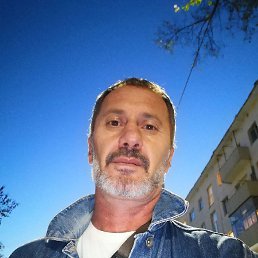 , 43, 