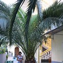 ���� ������, ��������, 66 ��� - ��������� 6 ������� 2026 � ������ ���� ����������