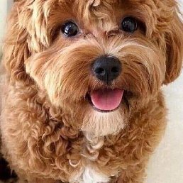 ����, �����, 45 ���