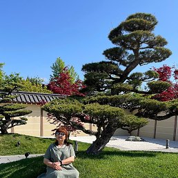 �����, ������-��-����, 58 ���