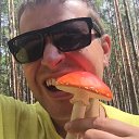 ���� �����, ���������, 37 ��� - ��������� 12 ������ 2024 � ������ ���� ����������