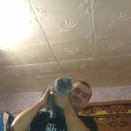 ���� ������, �������, 51 ��� - ��������� 24 ��� 2026