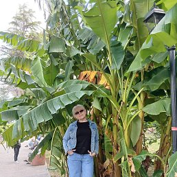 ������, �������, 55 ���