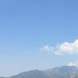 �������, ���������, 37 ���