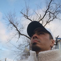 , 32, 