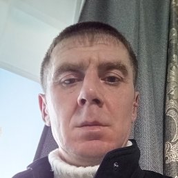 �����, ������, 41 ���