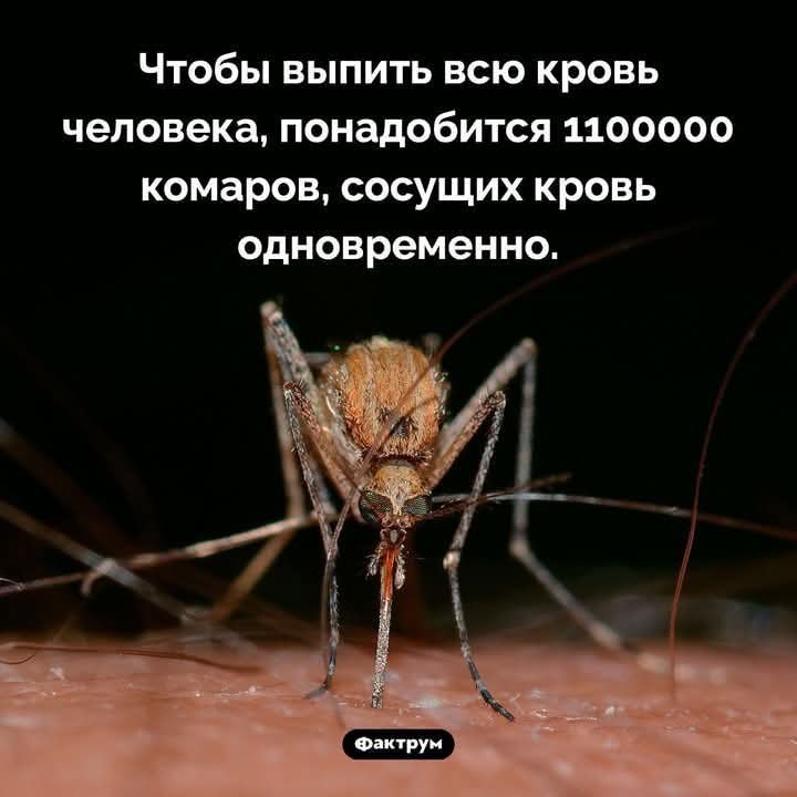 :)