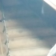 ϸ�� ��������, 39 ���, ������