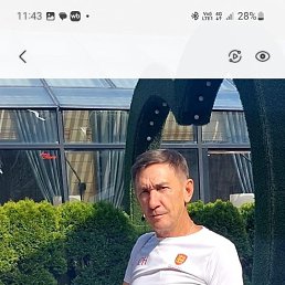 , 54 , 