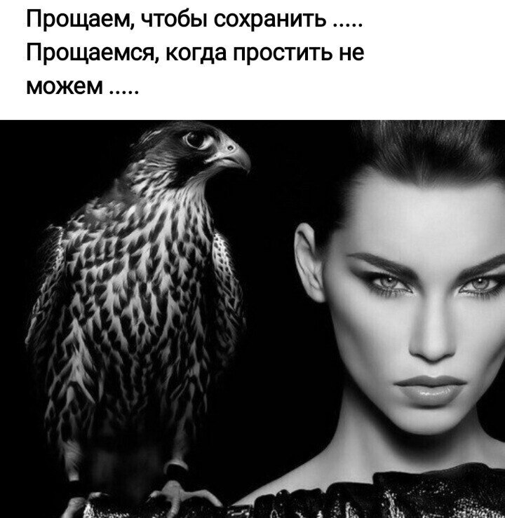 ***Victoria Viktorovna*** - 7  2025  16:14
