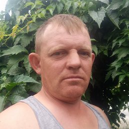 , 37 , 