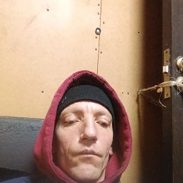 ������, 41 ���, ������