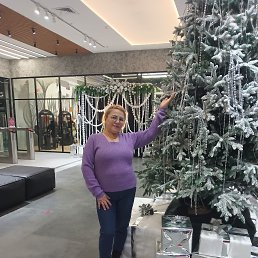 ���� �������, ���������, 58 ��� - ��������� 17 ������ 2026