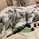 ���� ������, ������������, 47 ��� - ��������� 26 ������ 2025 � ������ ������ ��������