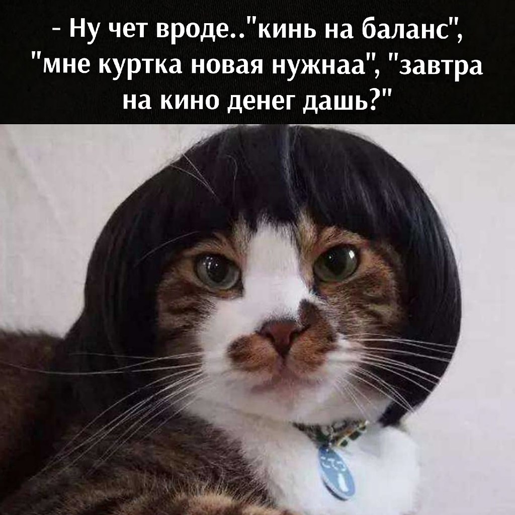       - 4  2025  12:46 - 4