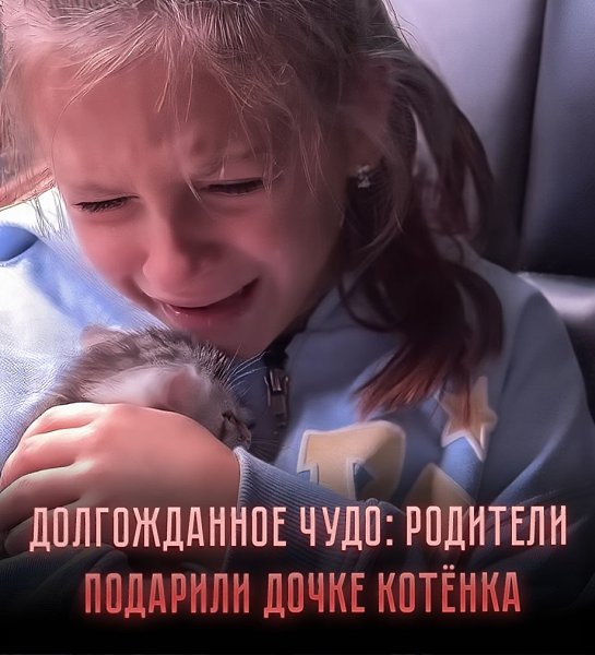 ��������� �������� ������ ���� �� �����������, ��� ���� ����������� ������� �����. ������� ...