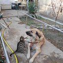 ���� ���������, ������, 65 ��� - ��������� 22 ������ 2026 � ������ ���� ����������