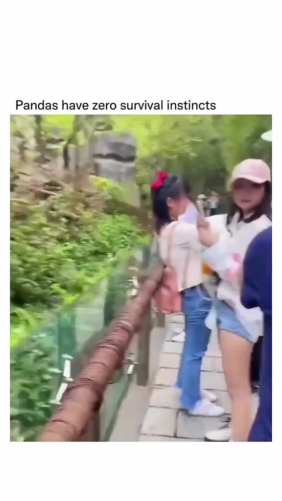 ����� - ��� ��� �������� ��������, �������������!