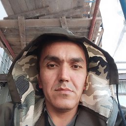  , 32, 