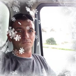 �����, ���������, 43 ����