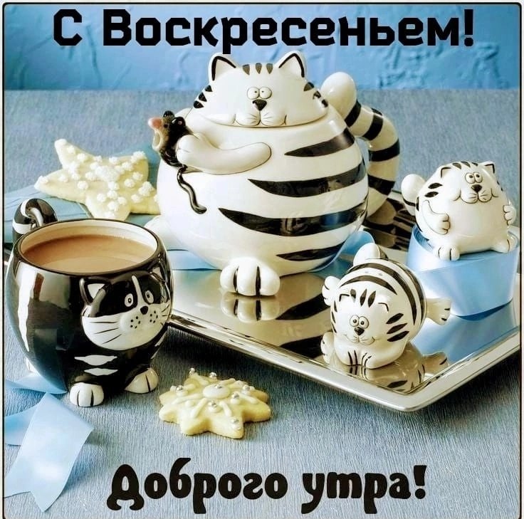   ,    . - 31  2025  23:06