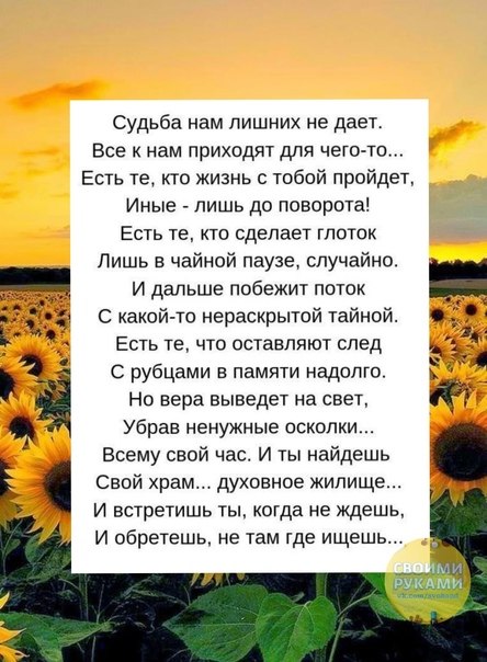 Ирина - 6 ноября 2024 в 17:21