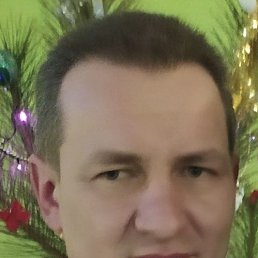 , 41, 