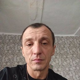 ��������, 41 ���, �����������