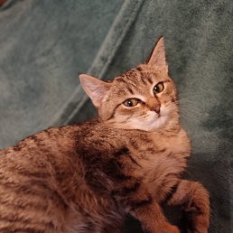 ���� ������, �����, 30 ��� - ��������� 24 ������ 2023