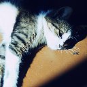 ���� ������, �������, 59 ��� - ��������� 25 ������ 2026 � ������ ���� ����������