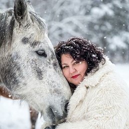 ���� ��������, ������ �������, 41 ��� - ��������� 24 ������ 2026