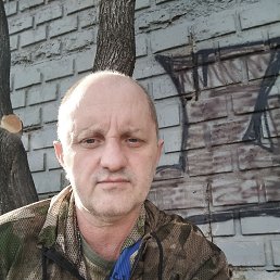 , 53 , 