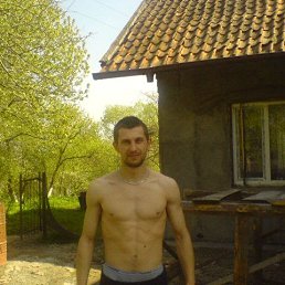 ���� �������, �����������, 41 ��� - ��������� 23 ����� 2026