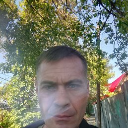 , 43, 