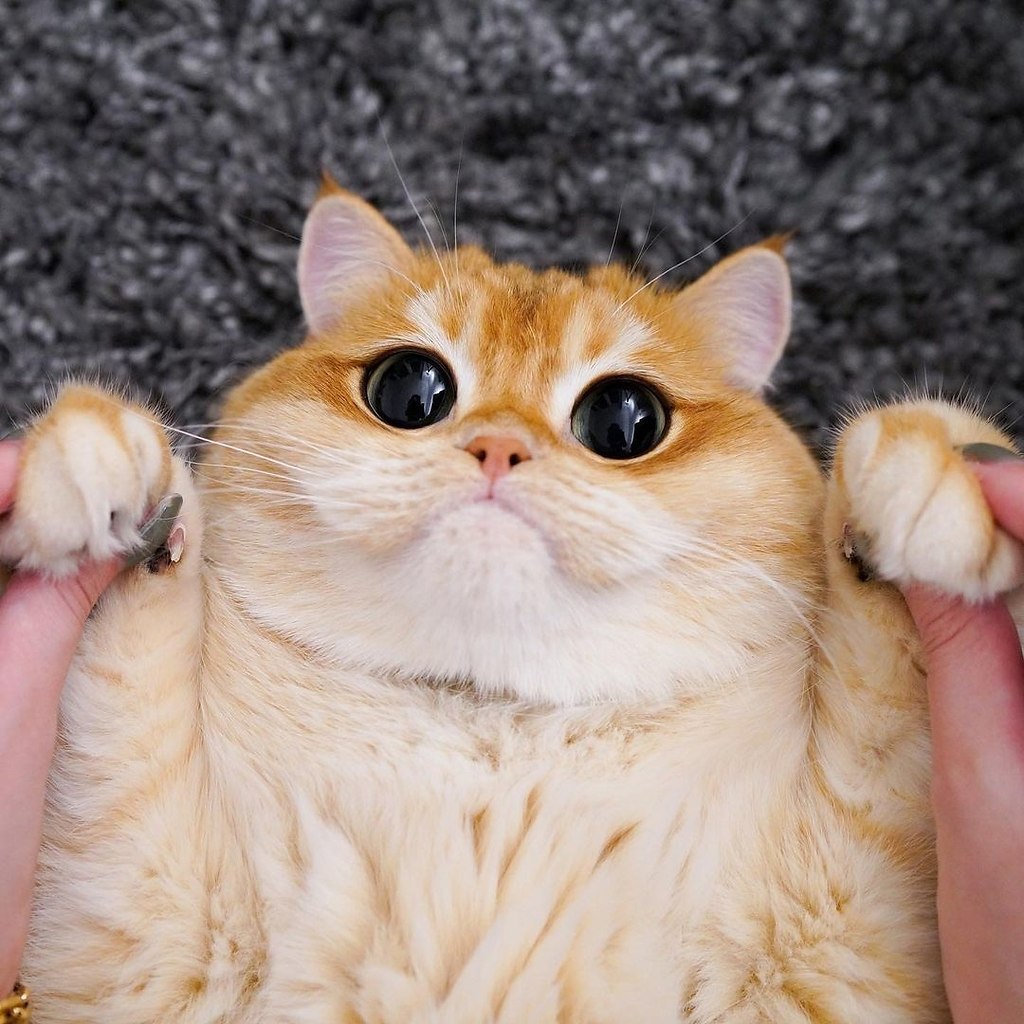 ����� ��������) - 5